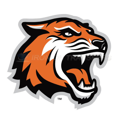 RIT Tigers Logo T-shirts Iron On Transfers N6011 - Click Image to Close
